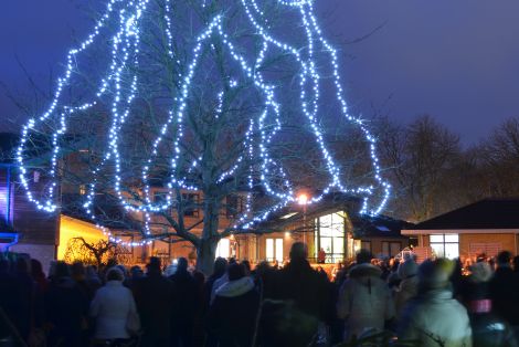 Kirkwood’s garden shines bright remembering loved ones
