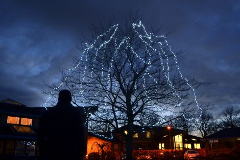 Community will Light up a Life this weekend